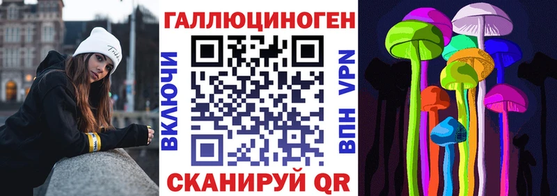 купить   Гаврилов-Ям  сайты даркнета клад  Галлюциногенные грибы Psilocybe 